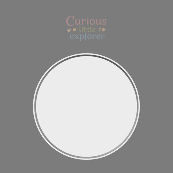 Round Sensory Tray with Compartments for Sensory Play