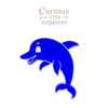 Dolphin Sensory Tray