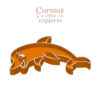 Dolphin Sensory Tray