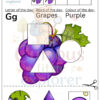 Short Learning Activity Book