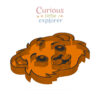 Lion Sensory Tray