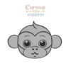 Monkey Sensory Tray