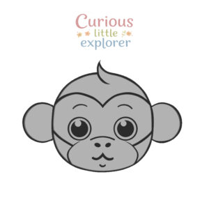 Monkey Sensory Tray