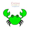 Crab Sensory Tray
