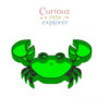 Crab Sensory Tray
