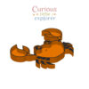 Crab Sensory Tray