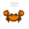 Crab Sensory Tray