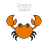 Crab Sensory Tray