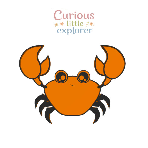 Crab Sensory Tray