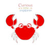Crab Sensory Tray