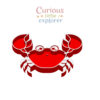 Crab Sensory Tray