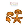 Sea Shells Sensory Trays (Set of 4)