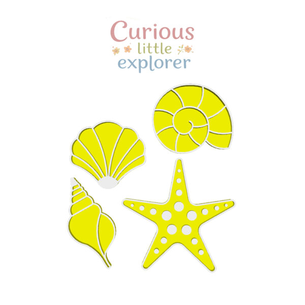 Sea Shells Sensory Trays (Set of 4)