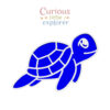 Sea Turtle Sensory Tray