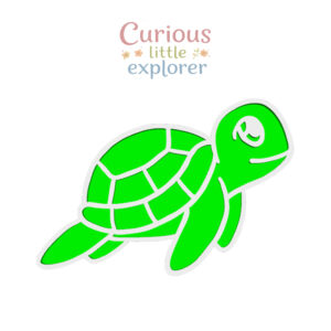 Sea Turtle Sensory Tray