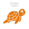 Sea Turtle Sensory Tray