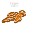 Sea Turtle Sensory Tray
