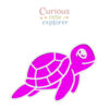 Sea Turtle Sensory Tray