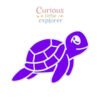Sea Turtle Sensory Tray