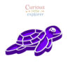 Sea Turtle Sensory Tray