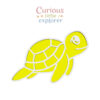 Sea Turtle Sensory Tray