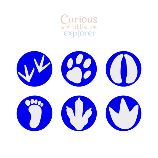 Footprint Playdough Stamps
