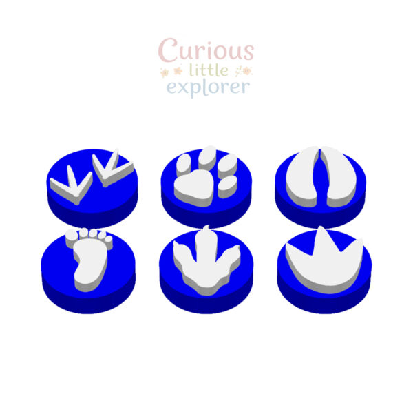 Footprint Playdough Stamps