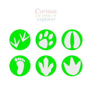Footprint Playdough Stamps