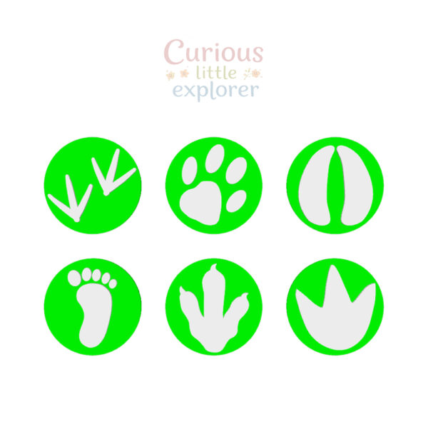 Footprint Playdough Stamps