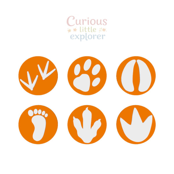 Footprint Playdough Stamps