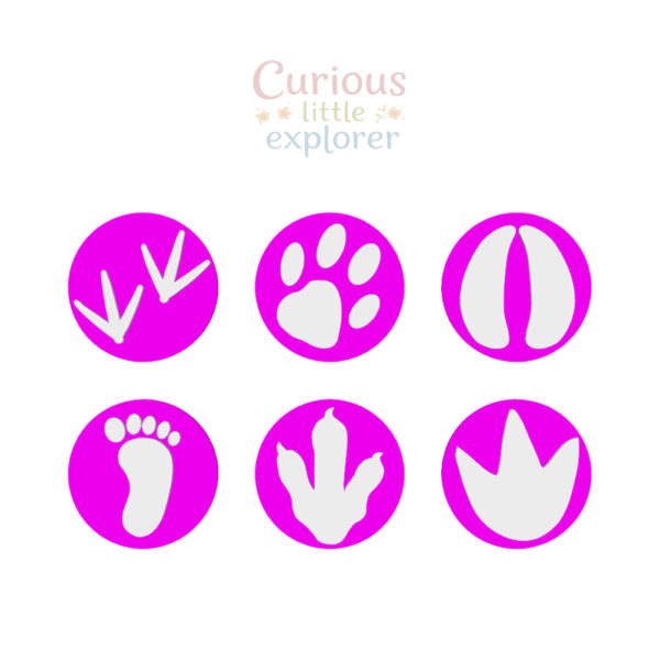 Footprint Playdough Stamps