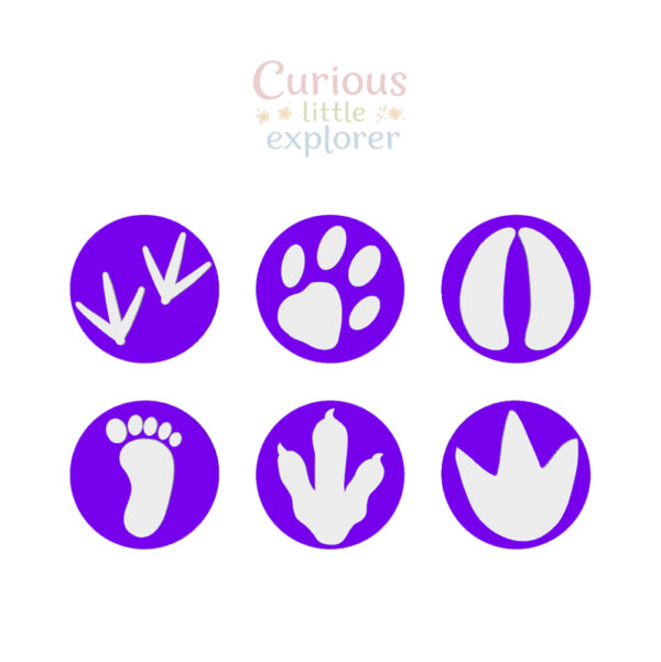 Footprint Playdough Stamps