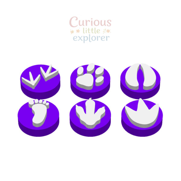 Footprint Playdough Stamps
