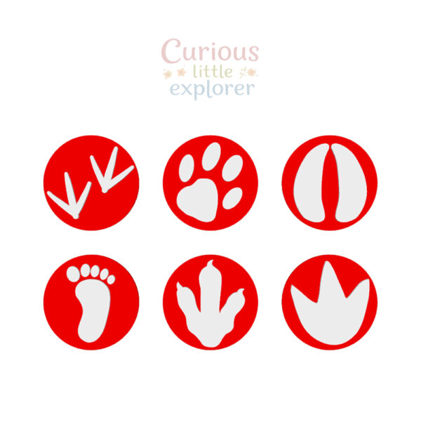 Footprint Playdough Stamps