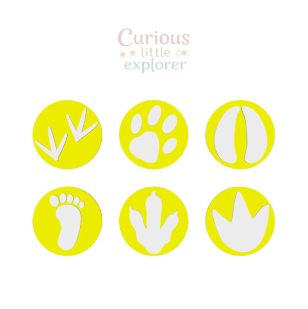 Footprint Playdough Stamps