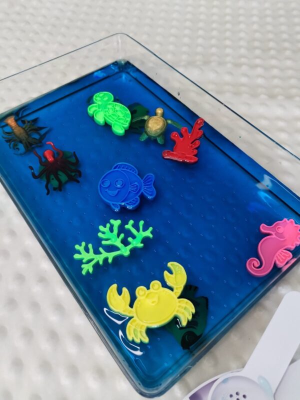 Ocean Theme Sensory Toys for Sensory Play