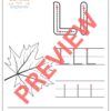 Trace the Letters A to Z - English
