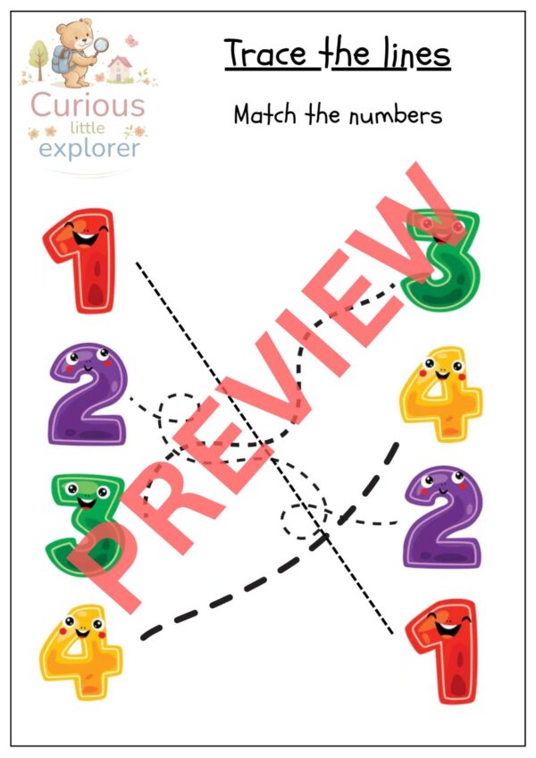 Trace the Lines - English