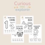 Trace the numbers 1 to 10 - English