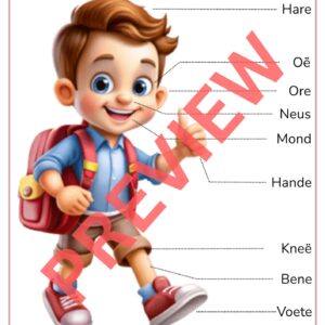 Klaskammer plakkate (Insluitend motiveringsplakkate)